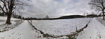 6: 03-01-2019_Waldenburg_Waldweid