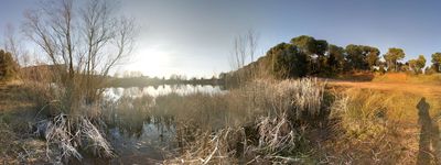 6: 28-02-2019_Estany_Seva