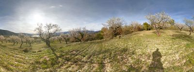 43: 09-03-2019_Sant_Mart_de_Canals_Llavaes