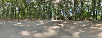 10: 26-06-2021_Devesa_de_Girona