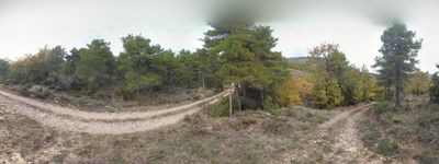 123: 13-11-2021_Cami_de_Sant_Mart_A_Claverol_Desviacio_Pista_Gairat