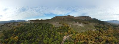 127: 13-11-2021_Cami_de_Sant_Mart_A_Claverol_Pista_Gairat