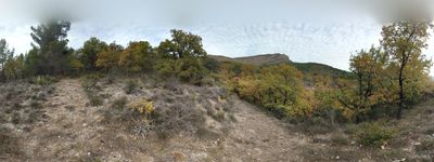128: 13-11-2021_Cami_de_Sant_Mart_A_Claverol_Artic_Nord