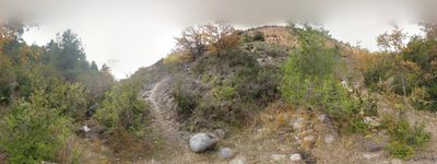 133: 13-11-2021_Cami_de_Sant_Mart_A_Claverol_Fons_Segon_Barranc