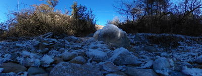 312: 23-01-2022_Barranc_de_Sant_Mart_de_Canals