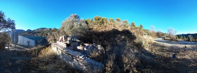 330: 02-02-2022_Tanc_Toralla