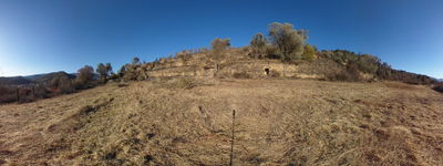 347: 10-02-2022_Cabana_A_Pont_de_Claverol