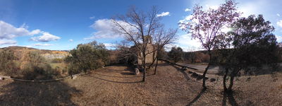 357: 15-02-2022_Santa_Barbara_de_Sensui
