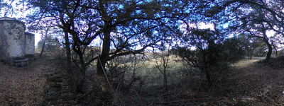363: 15-02-2022_Santa_Barbara_de_Sensui