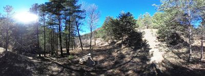 410: 18-02-2022_Molina_de_Carreu