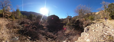412: 18-02-2022_Casa_Moreu