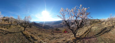 421: 20-02-2022_Plana_Mateu_Claverol