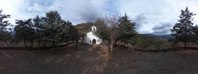471: 21-03-2022_Pui_de_Segur