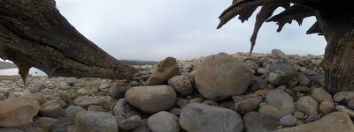477: 28-03-2022_Lago_Sec_Embassament_de_Sant_Antoni_de_Susterris