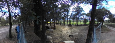 42: 24-04-2022_L_Ajuda