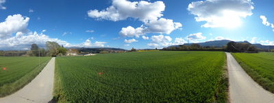 43: 24-04-2022_Puig_de_Balenya