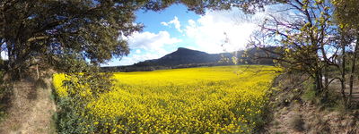 47: 24-04-2022_Puig_de_Balenya