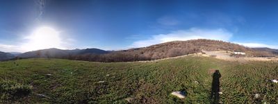 614: 01-01-2023_Estavill