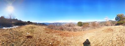 641: 03-03-2023_Planell_Dels_Moltons