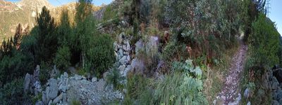654: 08-09-2023_Barranc_Del_Gento