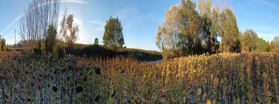 57: 25-09-2023_El_Blanquers