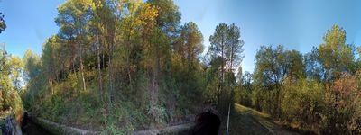 685: 28-09-2023_La_Solaneta_Canal_de_Sossis