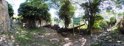 894: 23-05-2024_c_Esbarsabina