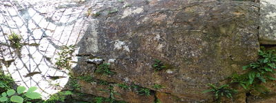 28: 19-07-2024__Burg_Waldenburg
