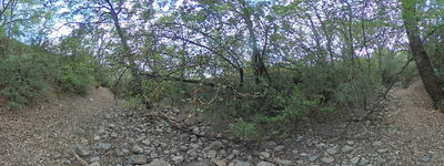 977: 01-09-2024_Barranc_de_Miret