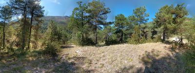 979: 11-09-2024__Molina_de_Carreu