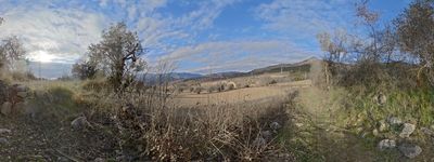 1015: 20-01-2025__Cami_de_Sant_Mart_A_Claverol