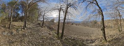 1016: 20-01-2025__Cami_de_Sant_Mart_A_Claverol