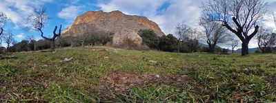 1028: 01-02-2025__Desarrocat