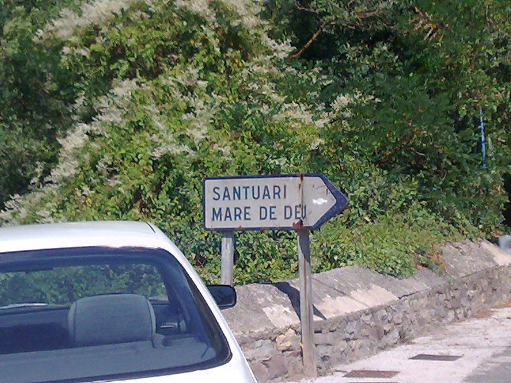 290820081369.jpg