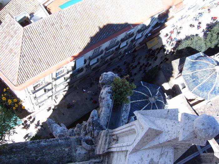avalencia_23-iii-2008_155.jpg