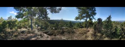 17: 28-09-2020_Castellar_de_La_Ribera